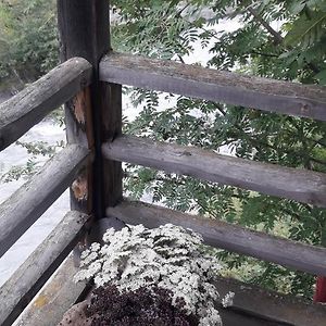 Guesthouse Lekoani Tusheti Exterior photo