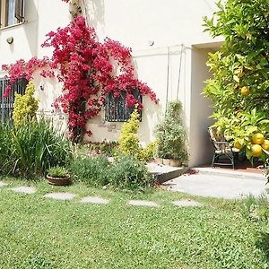 Penne Il Giardino Bed & Breakfast Exterior photo