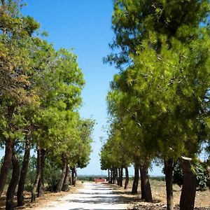 サリーチェ・サレンティーノ Masseria San Paolo Bed & Breakfast Exterior photo