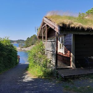 ベルゲン Fanafjorden Cabinsヴィラ Exterior photo