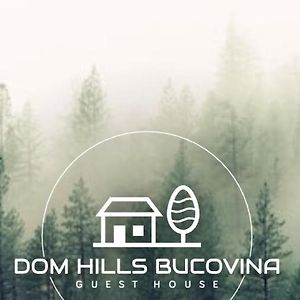 ホテル Dom Hills Bucovina グラ・フモアルルイ Exterior photo
