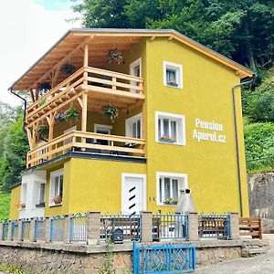 ホテル Pension Aperol Hřensko Exterior photo