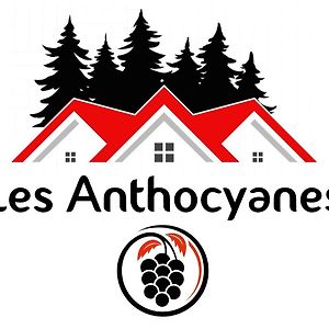 ホテル Les Anthocyanes Chambre Foret Champagny Exterior photo