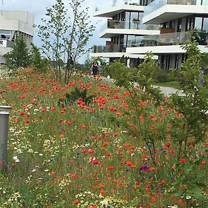 Bo Med Stil Og Udsigt Til Aarhus Lystbadehavnアパートメント Exterior photo