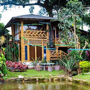 ホテル Casa Del Arbol, Romantico, Piscina, En Chinauta, El Mejor Clima El Michu Exterior photo