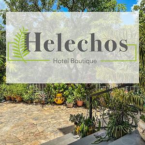 Helechos Hotel コマヤグア Exterior photo