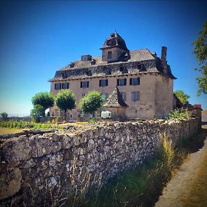 Sénezergues Chateau De Cours Bed & Breakfast Exterior photo