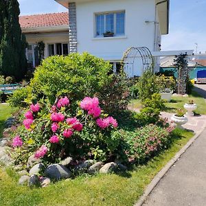 Gelos Chambre D'Hotes Les Hortensias Bed & Breakfast Exterior photo