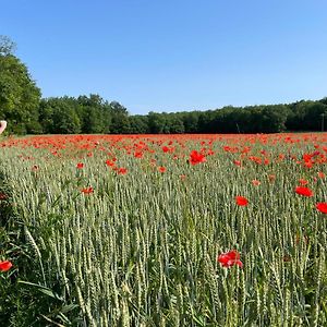 Mareuil-sur-Belle Charmant Gite 6P. Perigord Vertヴィラ Exterior photo