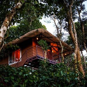 Coffee Cradle Wayanad Luxuorios Private Tree House - Inside 2 Acre Coffee Plantation Wetlands Wayanad Resort With Natural Waterfalls #Securewayanadtreehouse マナンタバディー Exterior photo