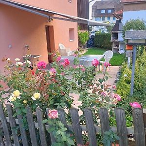 Vendlincourt Bnb Les Oiseaux, Chez Lidia, 26M2 A 44M2, 2Eme Etage Bed & Breakfast Exterior photo