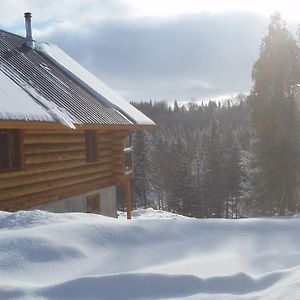 Lac-aux-Sables Chalet Bois Rond Aux Paysages Uniques Avec Spa !ヴィラ Exterior photo