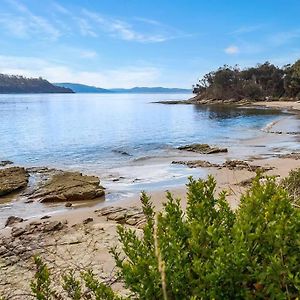 Dennes Point Peaceful Bruny Island Shackヴィラ Exterior photo