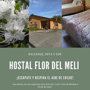 ダルアウェ Hostal Flor Del Meli Bed & Breakfast Exterior photo