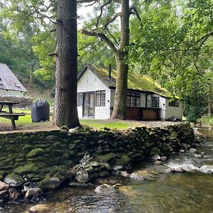 Eglwys-Fach Cuckoo Cabin, Tyn Y Cwmヴィラ Exterior photo