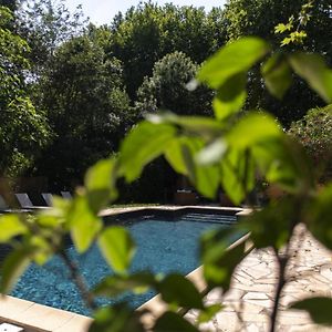 Conques-sur-OrbielLa Draperie Des Saptes, Piscine Proche Carcassonneアパートメント Exterior photo