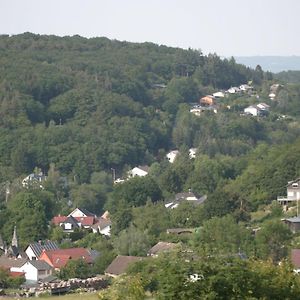 Schalkenbach Rech Hof Eifel Urlaubヴィラ Exterior photo