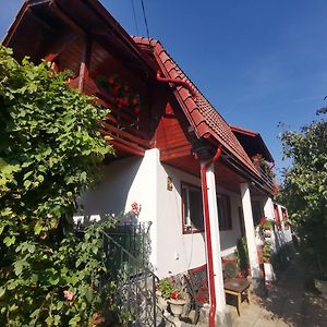 Happy Holiday Home With Mountain View Zărneşti Exterior photo