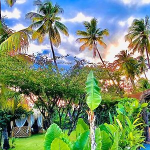 Saint-Pierre Majo Lounge Dans Un Jardin Tropical A 5 Min De La Mer Caraibeヴィラ Exterior photo