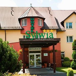 Hotel Sylwia ソシニツォビツェ Exterior photo