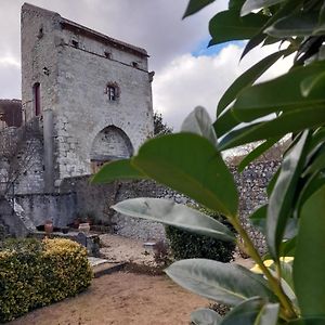 La Maison Du Prince De Conde Charroux-dʼAllier Exterior photo