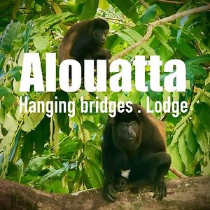 Alouatta Hanging Bridges Adventure And Lodge カウイータ Exterior photo
