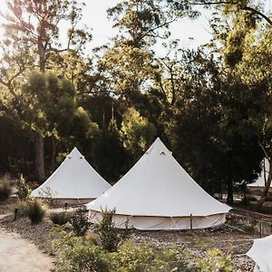 Binalong Bay Bay Of Fires Bush Retreat Bed & Breakfast Exterior photo