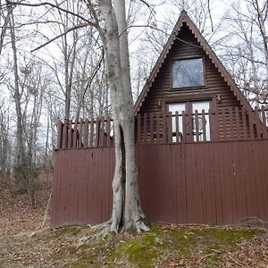 Mitchell A-Frame Cabin #4 On Patoka Lake In Southern Indianaヴィラ Exterior photo