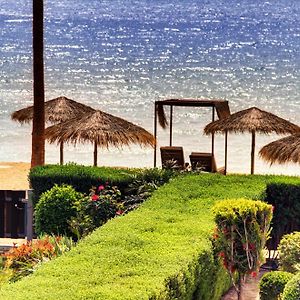Luxury Beachfront Villa With Private Pool, Yoga & Sea Adventures ラルナカ Exterior photo
