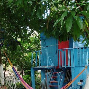 ホテル Hospedaje Y Jardin Botanico Chultun Maya エル・レマテ Exterior photo