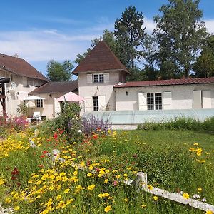 Bonnelles Maison De Campagne Piscine / Fitness / Billard.ヴィラ Exterior photo