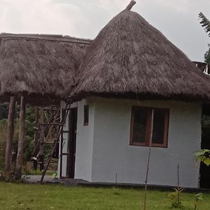 Wakanda Cottage Kibale フォート・ポータル Exterior photo