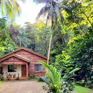 Ecoscape Jamaica - Cottages By The River オーチョ・リオス Exterior photo