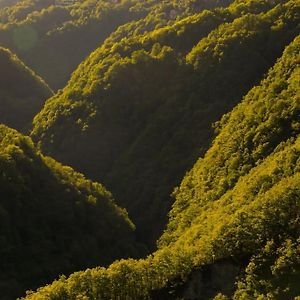 AuressioWild Valley Ticino Vista In Valle Onsernoneアパートメント Exterior photo