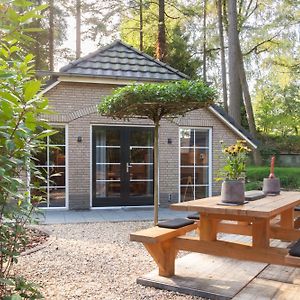 Veluwe Vakantiehuis - Bosuil Lodge ルンテレン Exterior photo