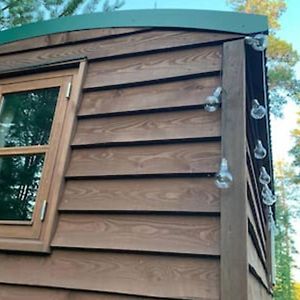 Off-Grid Minihus Pa Finnskogen. コングスビンゲル Exterior photo