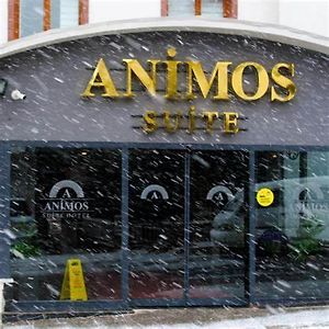 Animos Butik Otel アンカラ Exterior photo