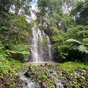 ホテル Nimbin Waterfall Retreat Exterior photo