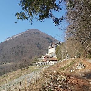 Charmant Appartement Lac D'Annecy / Ski - 6 Pers マントン・サン・ベルナール Exterior photo