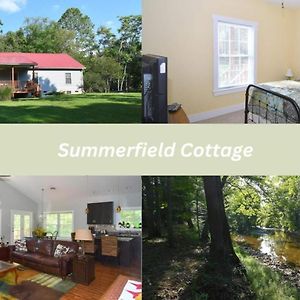 Summerfield Cottage At Sleepy Creek バークレー・スプリングス Exterior photo