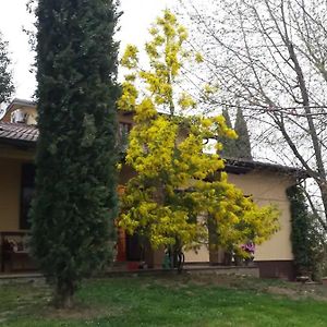 Villa Mimosa メデザーノ Exterior photo