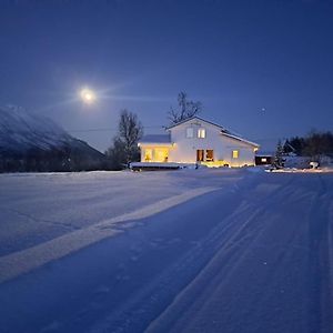 Mountainside Lodge - Breivikeidet トロムソ Exterior photo