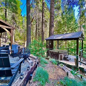 Pollock Pines Cabin In The Trees - Hot Tubヴィラ Exterior photo