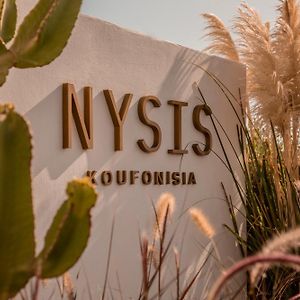 ホテル Nysis Koufonisia Exterior photo