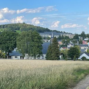 Ferienwohnung Greifenbach, Gartennutzung, Haustiere Willkommen ガイヤー Exterior photo