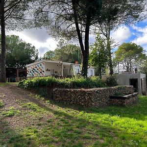 Uceda Stone Garden, Casa En Plena Naturalezaヴィラ Exterior photo