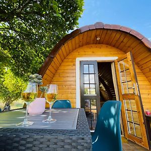 Corredoura The Gold Pod, Relax And Enjoy On A Glamping Houseゲストハウス Exterior photo