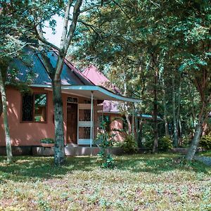 Charming Bungalows ムワンザ Exterior photo