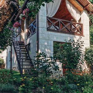 White Valley Entire Guest House Next To Forest キシナウ Exterior photo