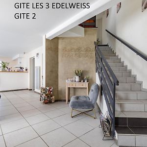 Les 3 Edelweiss - Gite 1 Ou Gite 2 アレット Exterior photo
